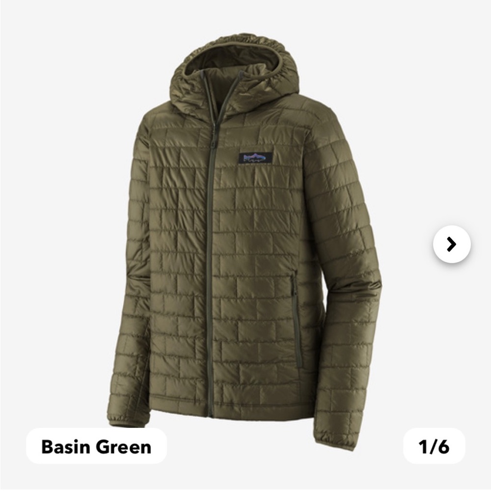 Men’s Patagonia Nano Puff Fitz Roy Trout Hoodie